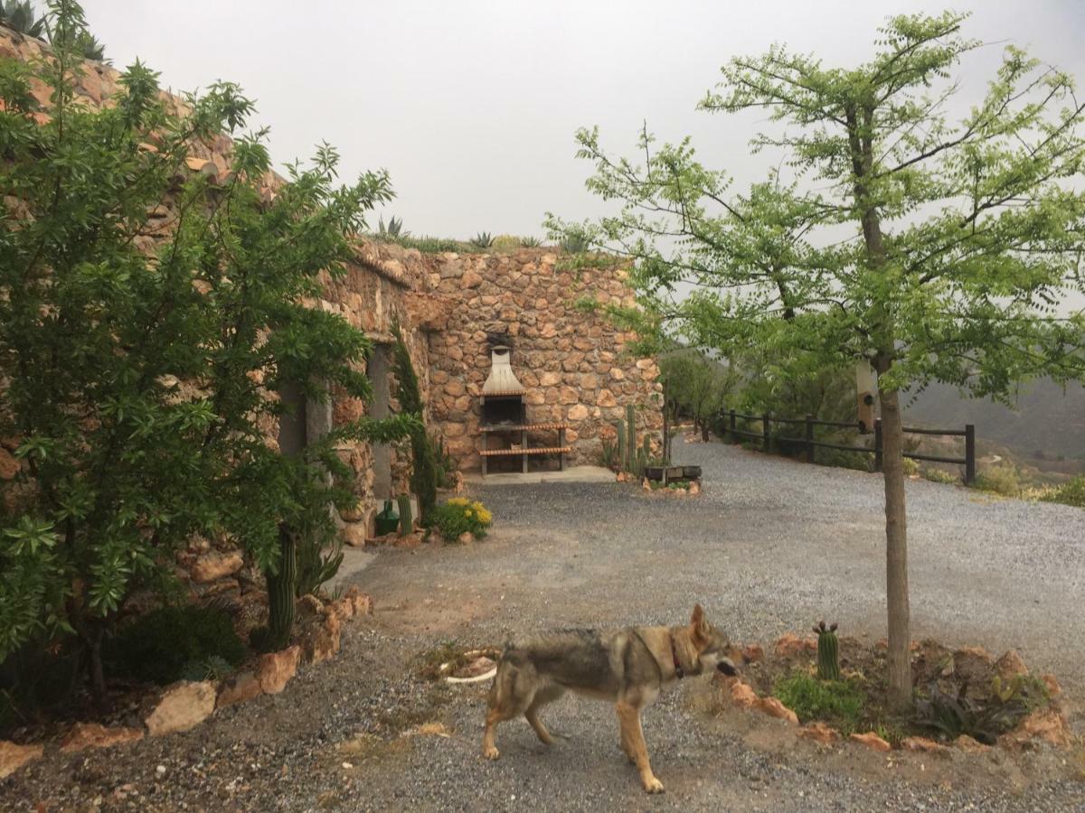 Cuevas El Torriblanco Guest House Gorafe Luaran gambar